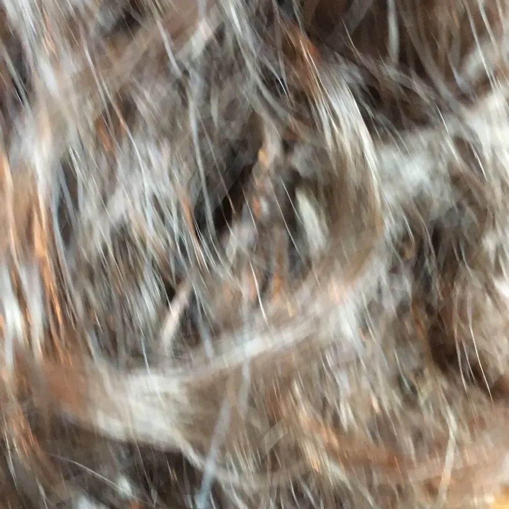 SIMPLY THE Best Wigs!